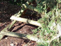 2025-09-24 Krasnale u leśniczego